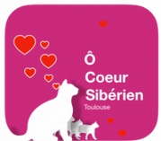 Logo of Ô COEUR SIBERIEN